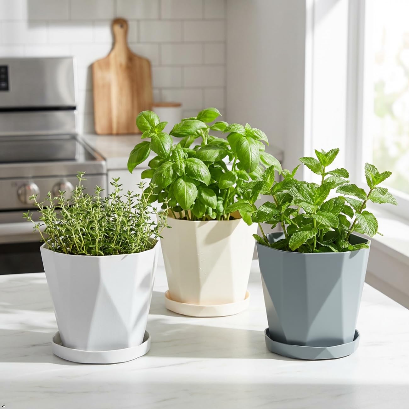 JPORSHU Plant Pots 6.3 inch 3 Pack Indoor Plastic Flower Pots，with Drainage Holes and Saucers Plastic Flower Pot Set Indoor Outdoor for Garden (Medium)