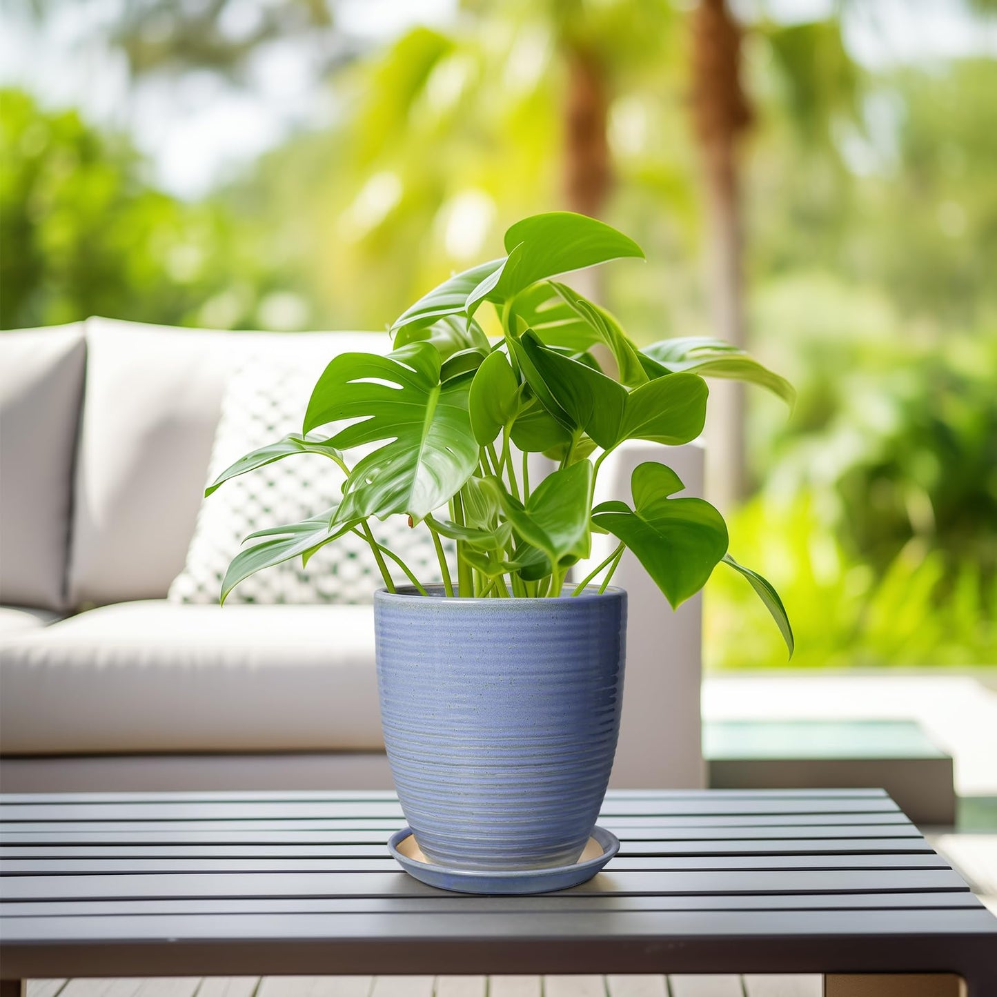 EEPFamily 8 Inch Plant Pot- Ceramic Planter for Indoor Outdoor with Drainage Hole and Plant Tray, Modern Round Porch Home Office Garden Living Room Decor, House Warming Gifts, Blue-Purple