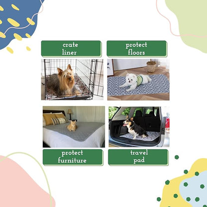 Caldwell's Pet Supply Co. 24x36 Potty Pads, Washable Pee Pads for Dogs, Reusable Pee Pads for Dogs, Puppy Potty Mat, Whelping Rug, Reusable Puppy Mat, Medium (Set of 3)