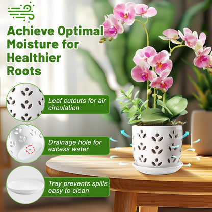 REMIAWY Orchid Pot, 2 Pack Orchid Pots with Drainage Holes and Saucer, 6 Inch and 5 Inch Large Ceramic Planter for Repotting Indoor Plants, Succulent, Decorative, Good Air Circulation, White