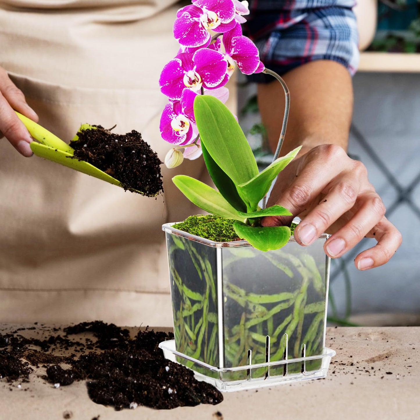 IWNTWY Clear Plant Pots, 6/5/4/3 Inch Set of 4 Flowers Pot with Drainage Holes and Saucer for Indoor Outdoor Plants, Breathable Plastic Planters Orchid Pot for Repotting
