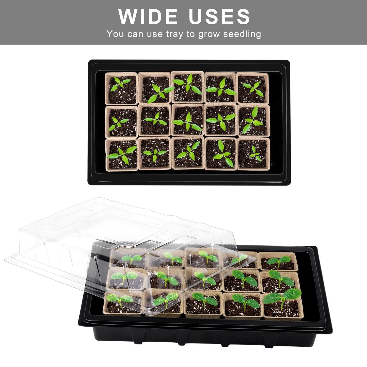 Aodaer 193 Pack Seed Starter Kit Including Seed Starter Tray Peat Pots for Seedlings with Plant Labels, Tool, Plastic Growing Trays Germination Tray Paper Seedling Cups for Indoor Outdoor Garden