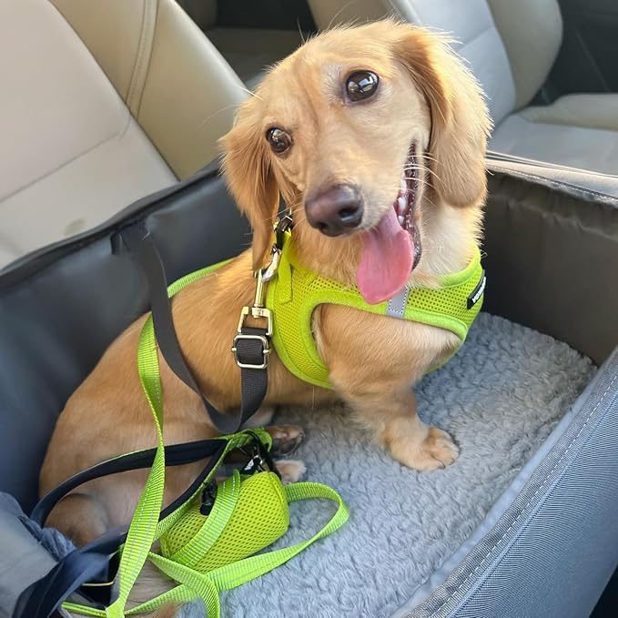 Best Pet Supplies Voyager Step-in Air All Weather Mesh Harness and Reflective Dog 5ft Leash Combo with Neoprene Handle, for Small, Medium and Large Breed Puppies - Lime Green, Small