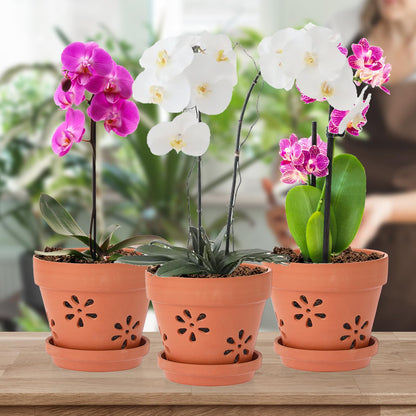 JUXYES Pack of 3 Small Terracotta Orchid Pot with Holes and Saucers, 6 Inches Clay Orchid Planter Pots for Repotting, Plant Flower Pots for Orchid Indoor and Outdoor Promotes Air Circulation