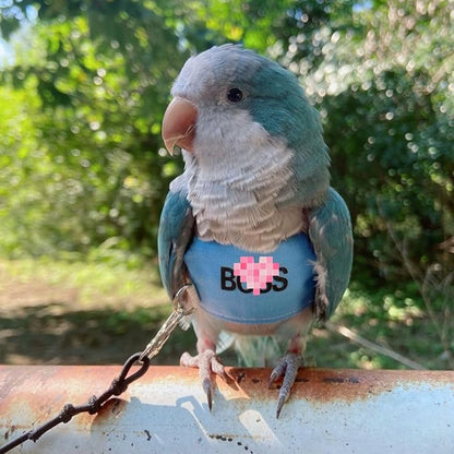 Bird Flight Harness Vest, Parrot Flight Suit with Leash, Bird Flying Clothes with Rope and Handle for Outdoor Activities (S)