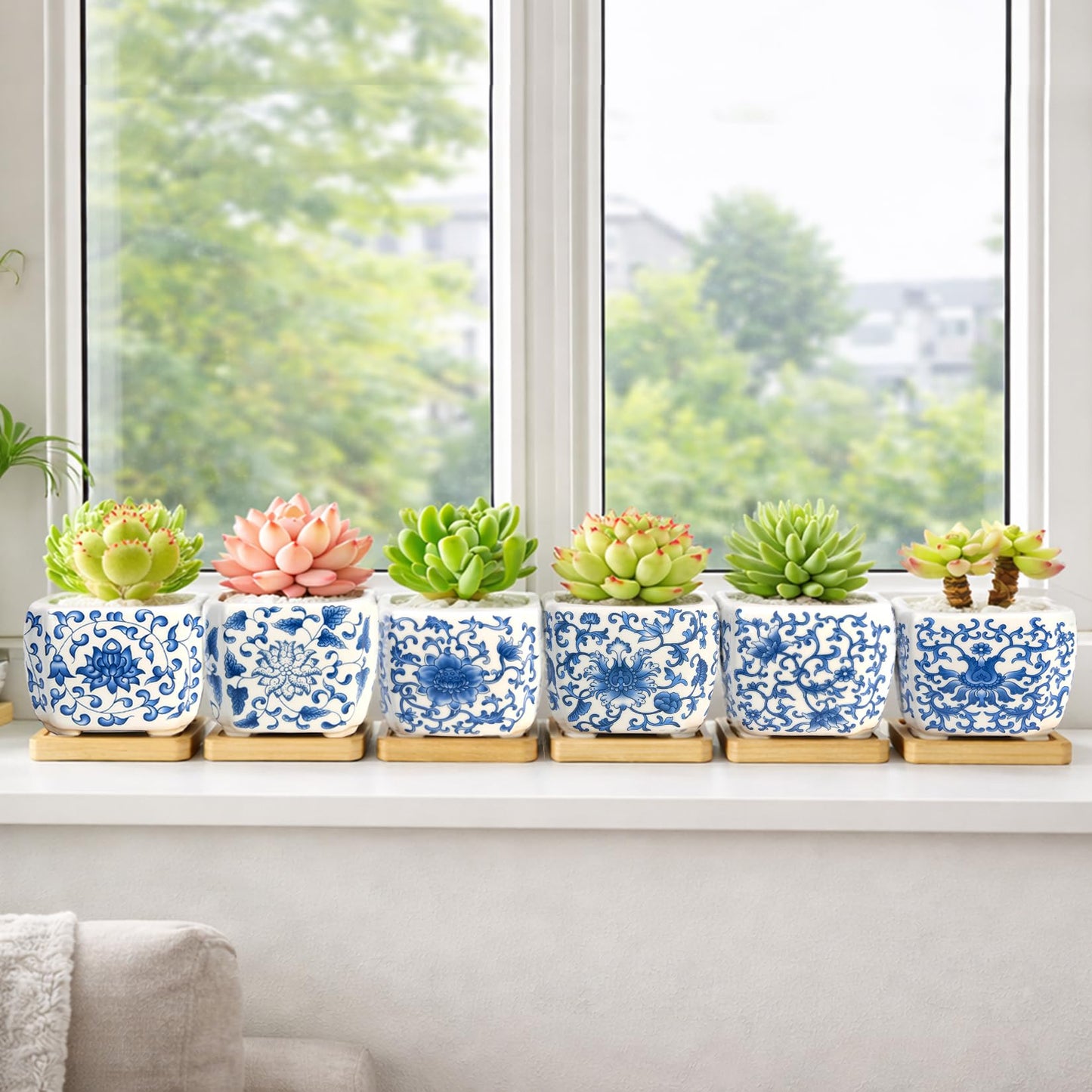 Succulent Pots - 3.1" Succulent Planters with Drainage and Bamboo Trays, Ceramic Flower Pots for Indoor Plants, Small Succulent Pots for Cactus, Home Office Desk Decor, Set of 6