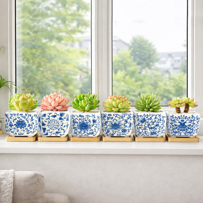 Succulent Pots - 3.1" Succulent Planters with Drainage and Bamboo Trays, Ceramic Flower Pots for Indoor Plants, Small Succulent Pots for Cactus, Home Office Desk Decor, Set of 6