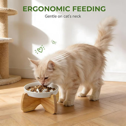 Raised Ceramic Cat Bowls 6.3" Flat & Slow Feeder Bowl (One of Each) | Anti-Gulping & Keep Fit, Water Bowl & Food Bowl, Dishwasher Safe, Neck Protective, Anti Whisker Fatigue