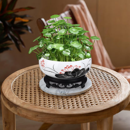 Toddmomy Hydroponic Ceramic Planter Pot with Base 7.08 Inch Round Water Lily Lotus Bowl for Indoor Outdoor Garden Decor Suitable for Water Plant Growth