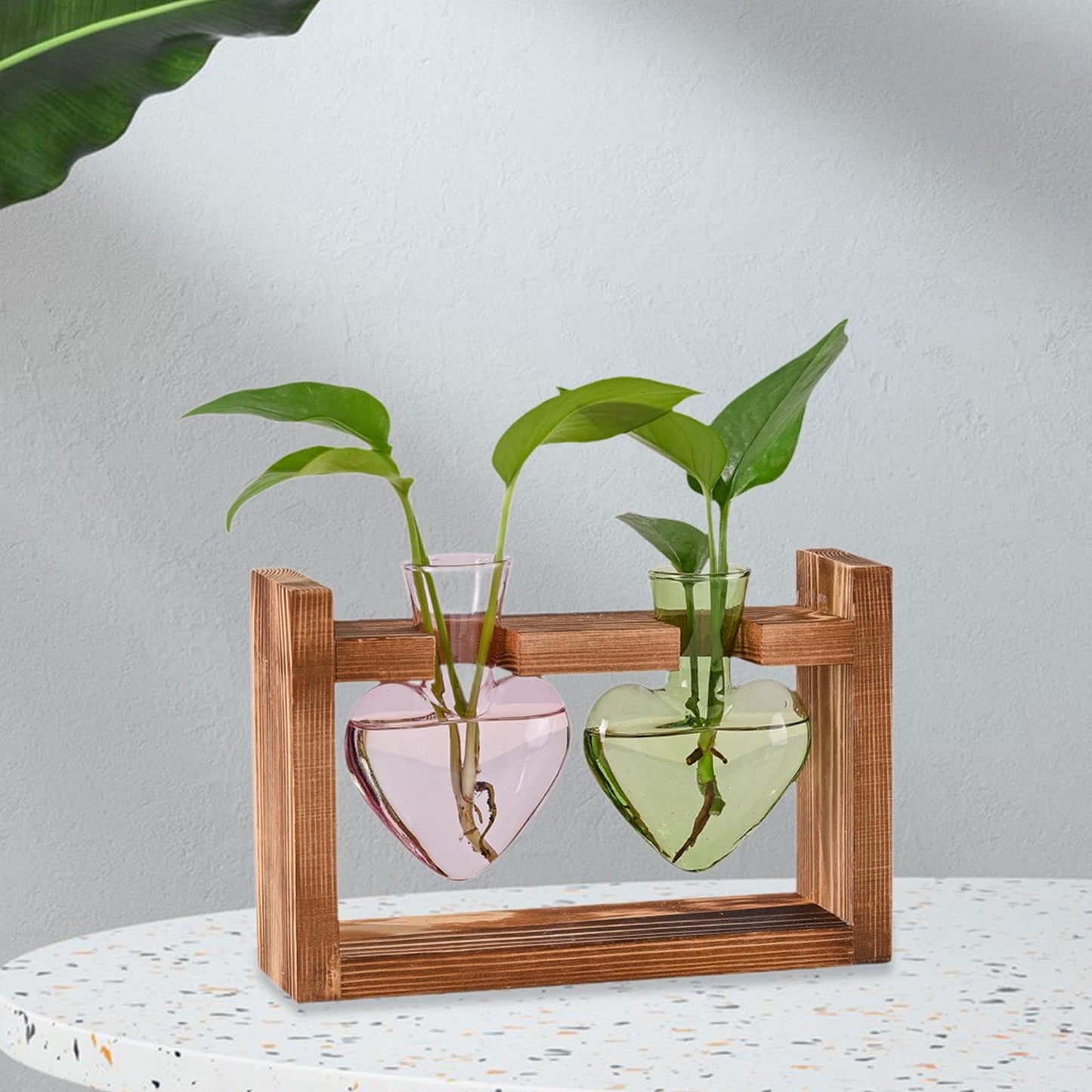 Duiaynke Hydroponic Flower Vase Glass Vase Table Centerpiece Plant Propagation Modern Propagating Jar Plant Terrarium for Dining Table (Pink Green)