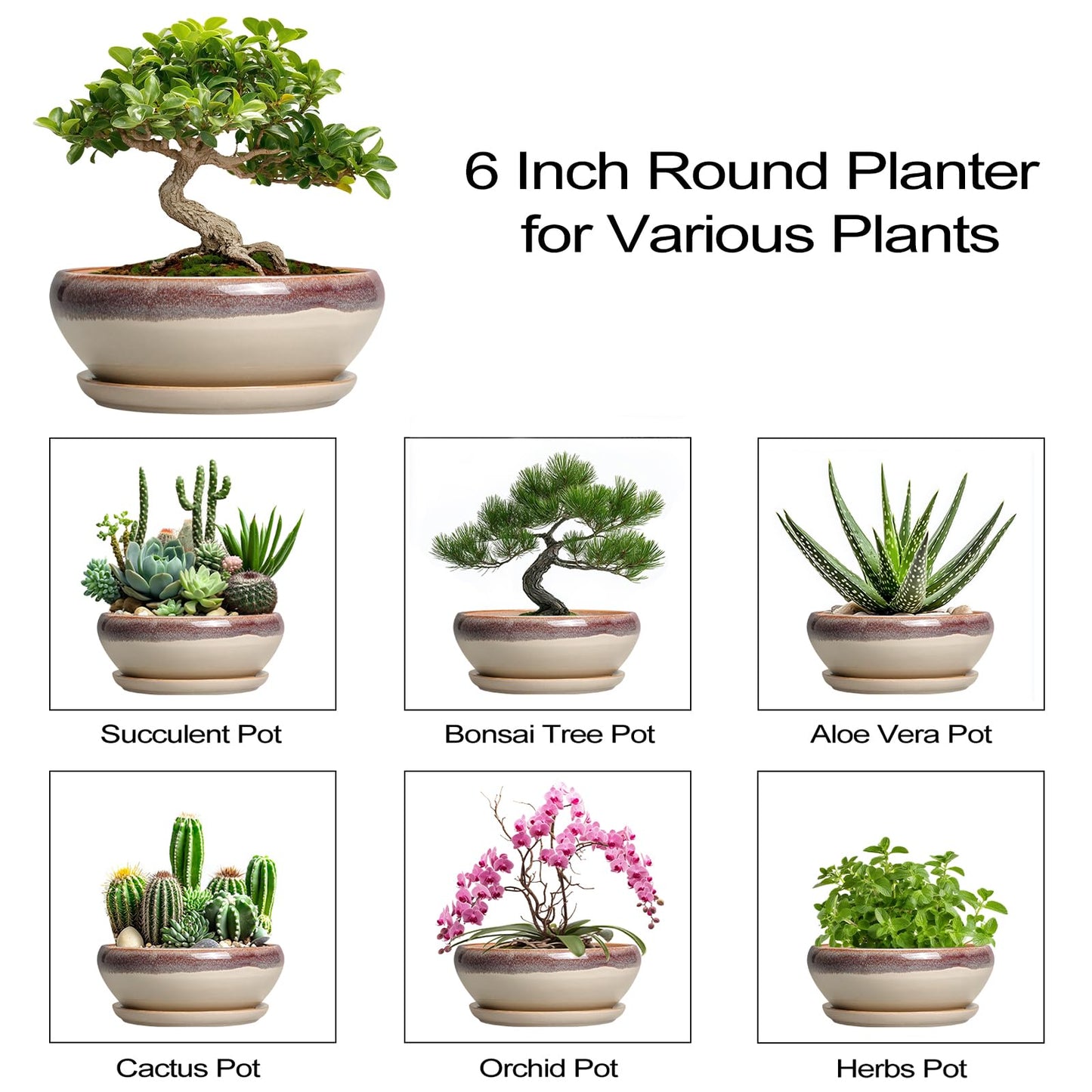 SQOWL Small Bonsai Pots - 6 Inch Ceramic Plant Pots for Succulents, Shallow Planter with Drainage Hole and Saucer, Round Planters for Indoor Outdoor Cactus Plants, House Decor, Birthday Gifts, Beige