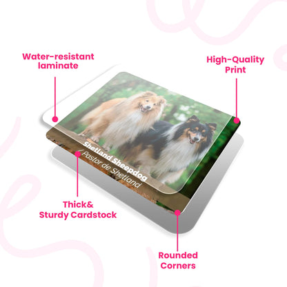 Menique – Dogs Memory Matching Game – Bilingual – 80 Cards (40 Pairs) with Real Photographs – Educational Game for Kids and Adults