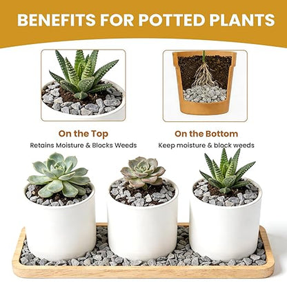 1/8 Inch Aquarium Gravel, Small Pebbles for Fish Tank & Indoor Plants, Natural Mini River Rocks for Succulent Soil Mix, Drainage, Terrarium & Vase Filler - Gray, 3 lb