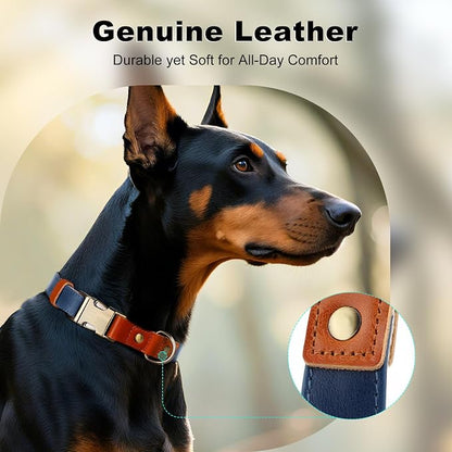 Plutus Pet Genuine Leather & Hemp Dog Collar – Adjustable Heavy Duty Pet Collar with Quick Release Metal Buckle, Soft & Stylish for Puppy and Small, Medium, Large Dogs (Royal Blue, M)