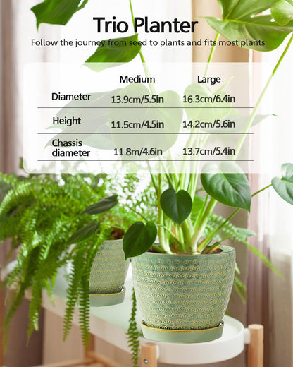 Plant Pots, Flower Pots, Planters for Indoor Plants(6.5+5.5inch), Flower Pots for Indoor Plant with Drainage Hole and Saucer, Ceramic Pots for Plants with Hole Mesh Pad,Sage Green