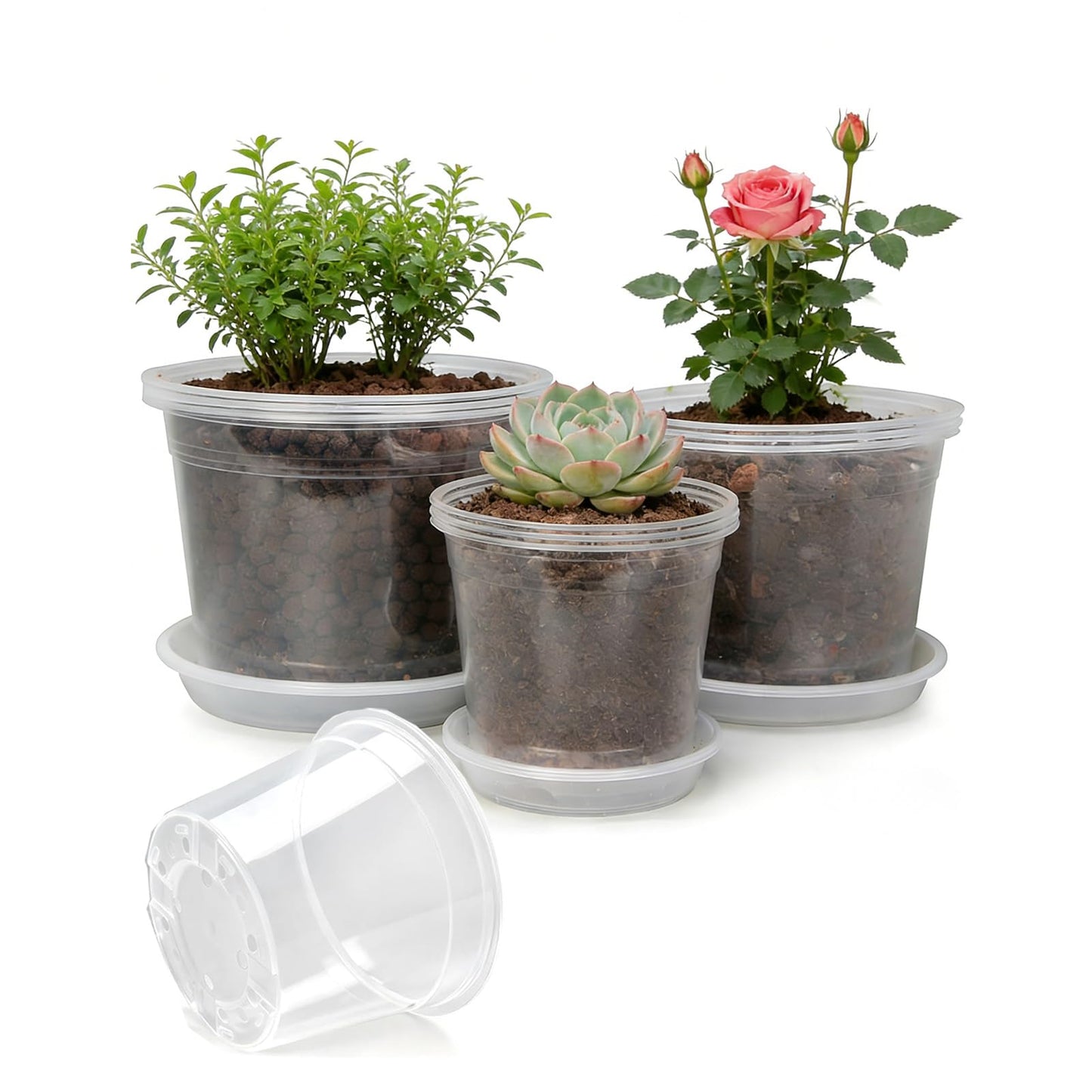 THEIFOXONE 4 Sets 8 Inch Large Clear Nursery Pots with Drainage Holes, Thick Reusable Plastic Plant Pots for Indoor Outdoor Plants, Seedlings, Succulents, Transplanting (8 inch)