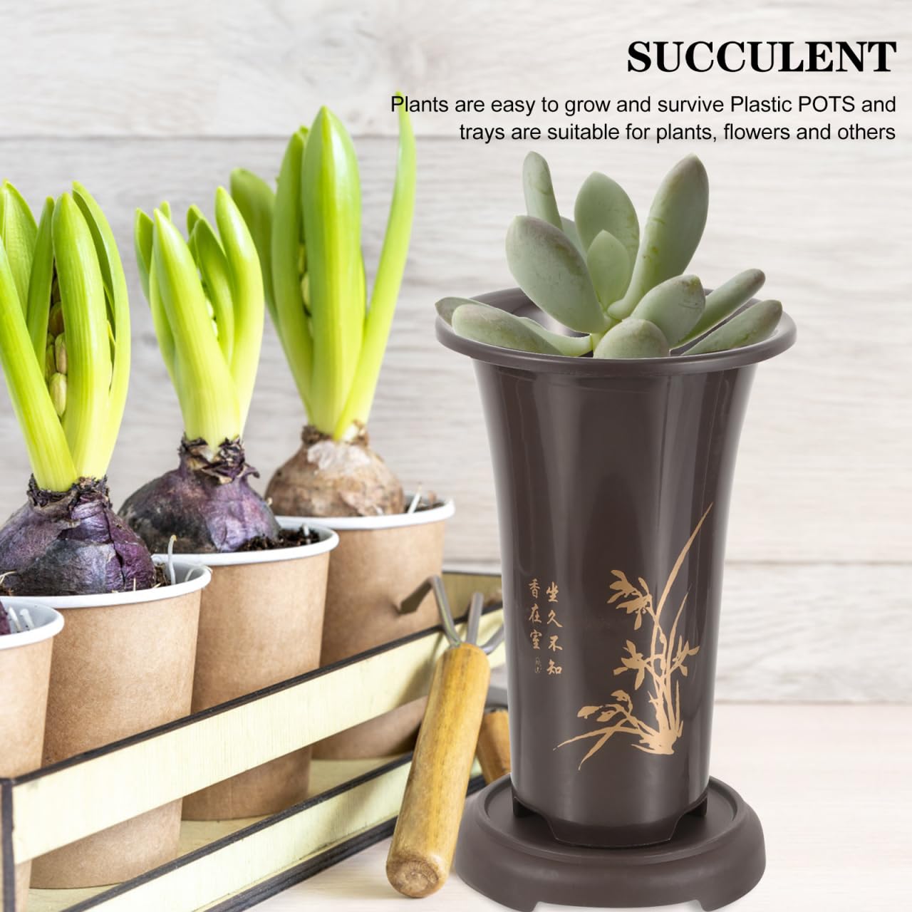 2-Pack Tall Orchid Pots with Drainage Trays, 9.4 Inch Plastic Breathable Planters for Cymbidium & Indoor Plants, Lightweight Chinese Style Bonsai Nursery Container