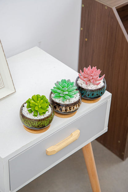 LamDawn Cute Ceramic Succulent Garden Pots, Planter with Drainage and Attached Saucer, Set of 5 -Plants Not Included (Round)