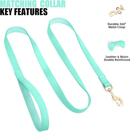 PET ARTIST Soft PU Leather Dog Collar and Leash Set, Bright & Stylish 5FT PU Leather Leash and Collar Set, Durable Pet Collars with Quick Release Metal Buckle for Medium Dogs,Mint Green,M(13-19")