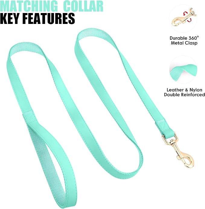 PET ARTIST Soft PU Leather Dog Collar and Leash Set, Bright & Stylish 5FT PU Leather Leash and Collar Set, Durable Pet Collars with Quick Release Metal Buckle for Small Dogs,Mint Green,S(9"-14")