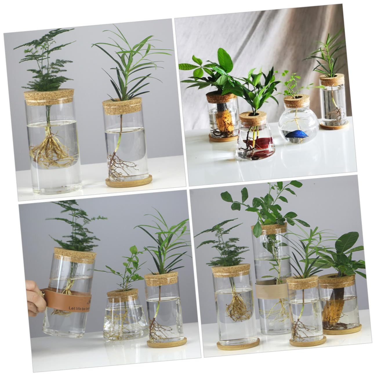 MAGICLULU Glass Hydroponic Vase Set for Succulents and Green Plants, Glass Flower Arrangement Container with Mat, 6.5x12cm, 2pcs Home Décor Terrarium Planter