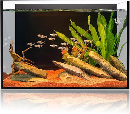 6 Gallon Glass Fish Tank 5 Gallon, Small Aquarium Fish Bowl Cube for Betta Goldfish Snails Shrimp Aquatic Planting, Easy to Maintain Ultra Clear Rimless Design Low Iron