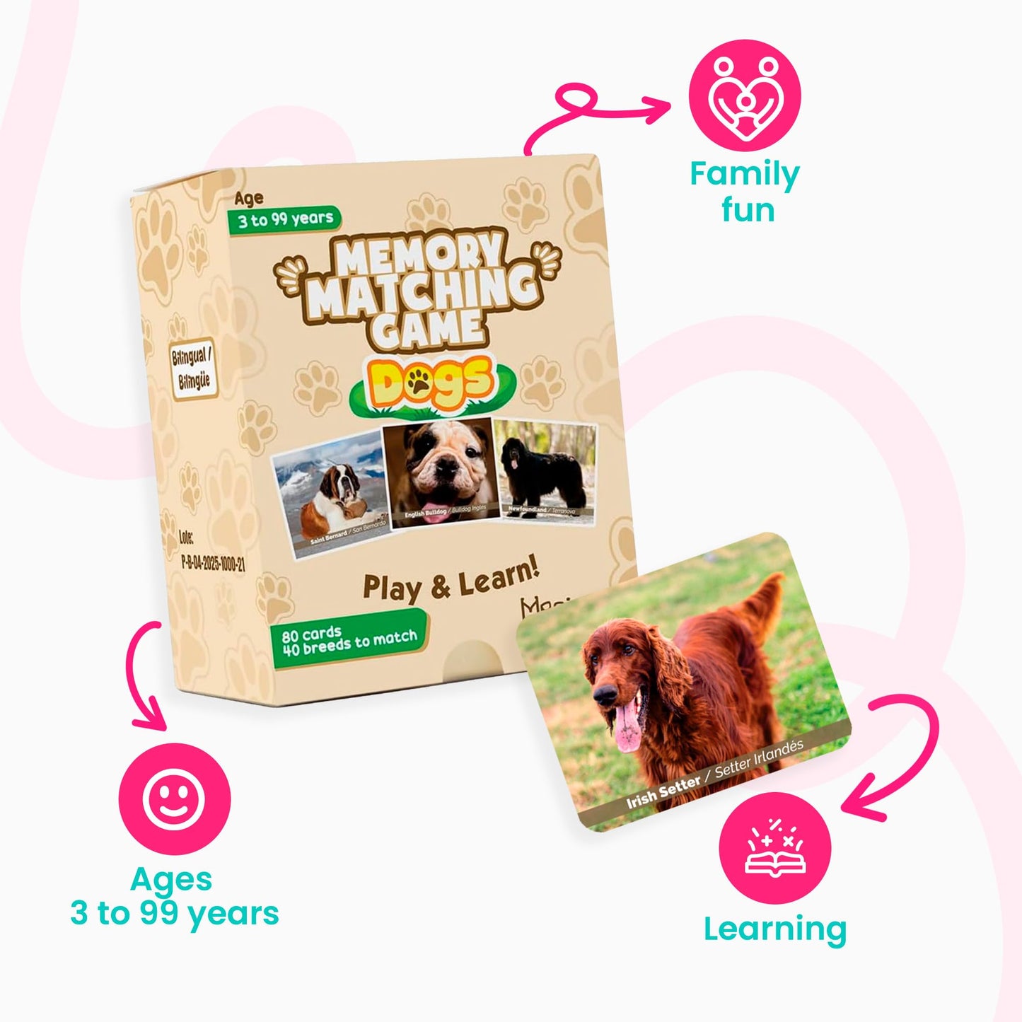 Menique – Dogs Memory Matching Game – Bilingual – 80 Cards (40 Pairs) with Real Photographs – Educational Game for Kids and Adults
