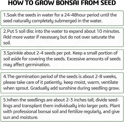 Meekear 5 Bonsai Tree Kit Complete Plant Growing Tools, Grow in Pot Indoor Bonsai Tree Starter Kit, Great Home Gardening Potted Plants DIY Gift for Adults