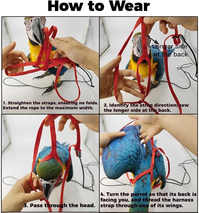 Adjustable Bird Harness and Leash for Parrots Outdoor Flight Training Anti-Bite Light Weight Easy-to-Wear Bird Vest with 59 Inch Elastic Leash for Quaker Conure African Grey Macaw Cockatoo (L)