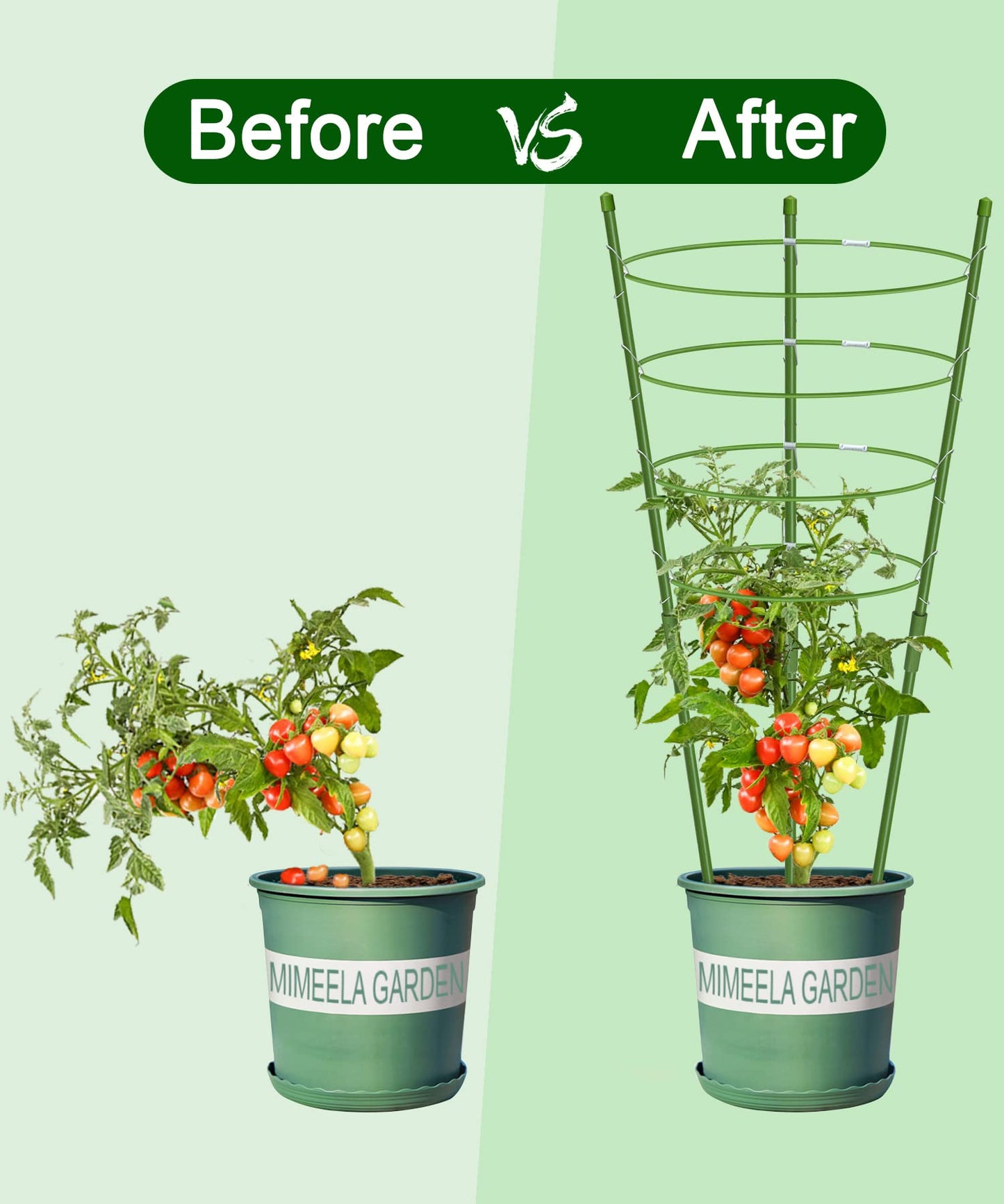 Mimeela 4 Pack Garden Plant Support Tomato Cage, Upgrade 36'' Trellis for Climbing Plants, Plant Trellis Kits with 4 Self Watering Spikes and 20 Plant Clips (36'') (Upcage-4T-23)