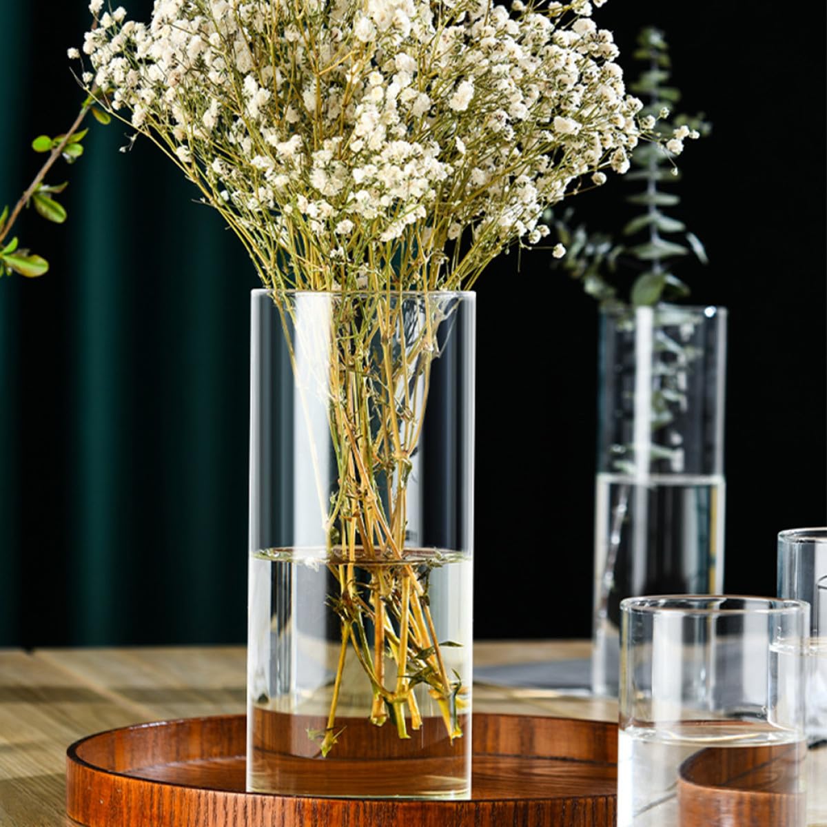 NUOBESTY Glass Flower Vase Hydroponic Cylinder Vase 10cm X 25cm High Borosilicate Glass Terrarium for Indoor Plant Display and Home Décor