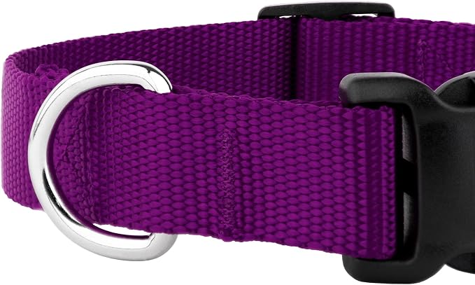 Country Brook Petz - Everyday Nylon Dog Collar and Leash - 10+ Cool Colors (1 Inch, Extra Large, Purple)