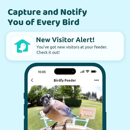 NETVUE by Birdfy Smart Bird Feeder with Camera, Bird Watching Camera, Auto Capture Video&Motion Detection, 1080P Live Steam, Cardinal Feeder Outdoor Wireless, Ideal Present for Backyard Birder, Yellow