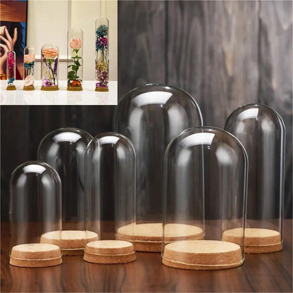 10X Da30mm Glass Bottle Terrarium Jar Cork Base Dome Dust Cover DIY Specimen Succulent Plant Micro Landscape Flower Vase Display(30x100cm)