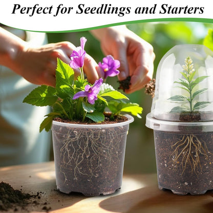RooTrimmer Transparent Nursery Pots 4Inch with Humidity Domes for Seeds Starting, Clear Plastic Plant Pots with Drainage Holes (4Inch, 30Pcs,Clear Pots with Lids)