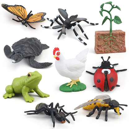MIKNEKE Montessori Chicken Life Cycle with Flash Cards, Realistic Animal Figurines Toy, Animal Educational Matching Game for 3+ Year Old Toddlers Kids (Cock)