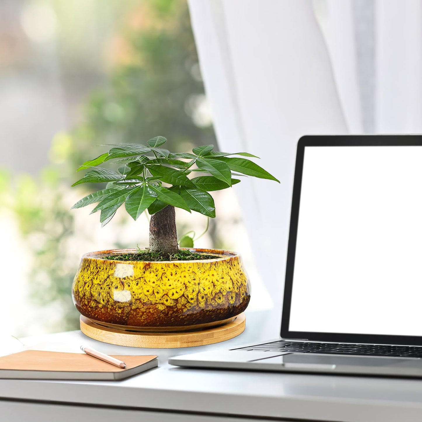 ARTKETTY Succulent Pots - 8 Inch Plant Pot, Large Bonsai Pots with Drainage Tray, Ceramic Planters for Indoor Outdoor Plants, Round Shallow Cactus Flower Plant Container Bowl Decorative Home Garden