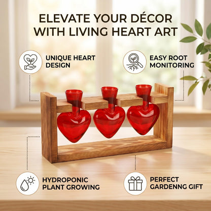 Generic Heart Shaped Propagation Station, 3 Glass Vases Plant Terrarium Kit with Wooden Stand for Hydroponic Plants Home Office Decor Present for Women