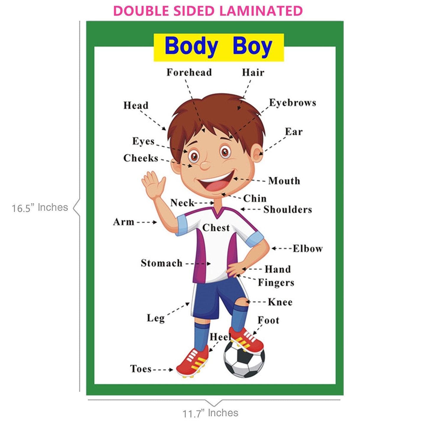 SANTSUN 5 Pcs Laminated Educational Preschool Posters for Toddlers| School classroom Posters | Class decorations for Kids Back to School Supplies, Preschool, Kindergarten, Elementary