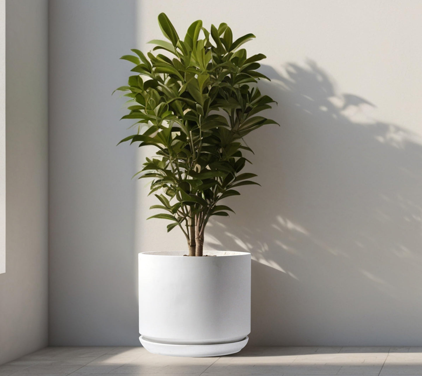 Olly & Rose Large Matt White Flower Pot Tall Planter 35.5cm Extra Large Fibre Planter with Saucer - Large Indoor and Outdoor Plant Pot