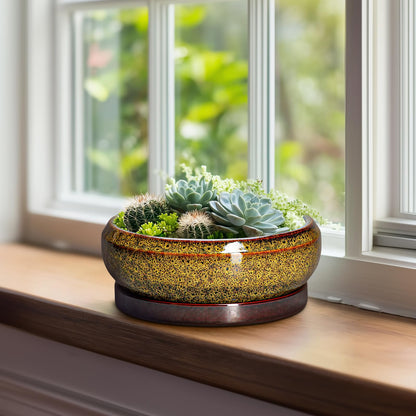 EPFamily Succulent Planters 8 Inch - Ceramic Bonsai Pots with Drainage Hole and Tray, Shallow Plant Pot Indoor Outdoor, Round Succulent Pots, Planter Bowl, Porch Decor, Housewarming Gifts, Yellow