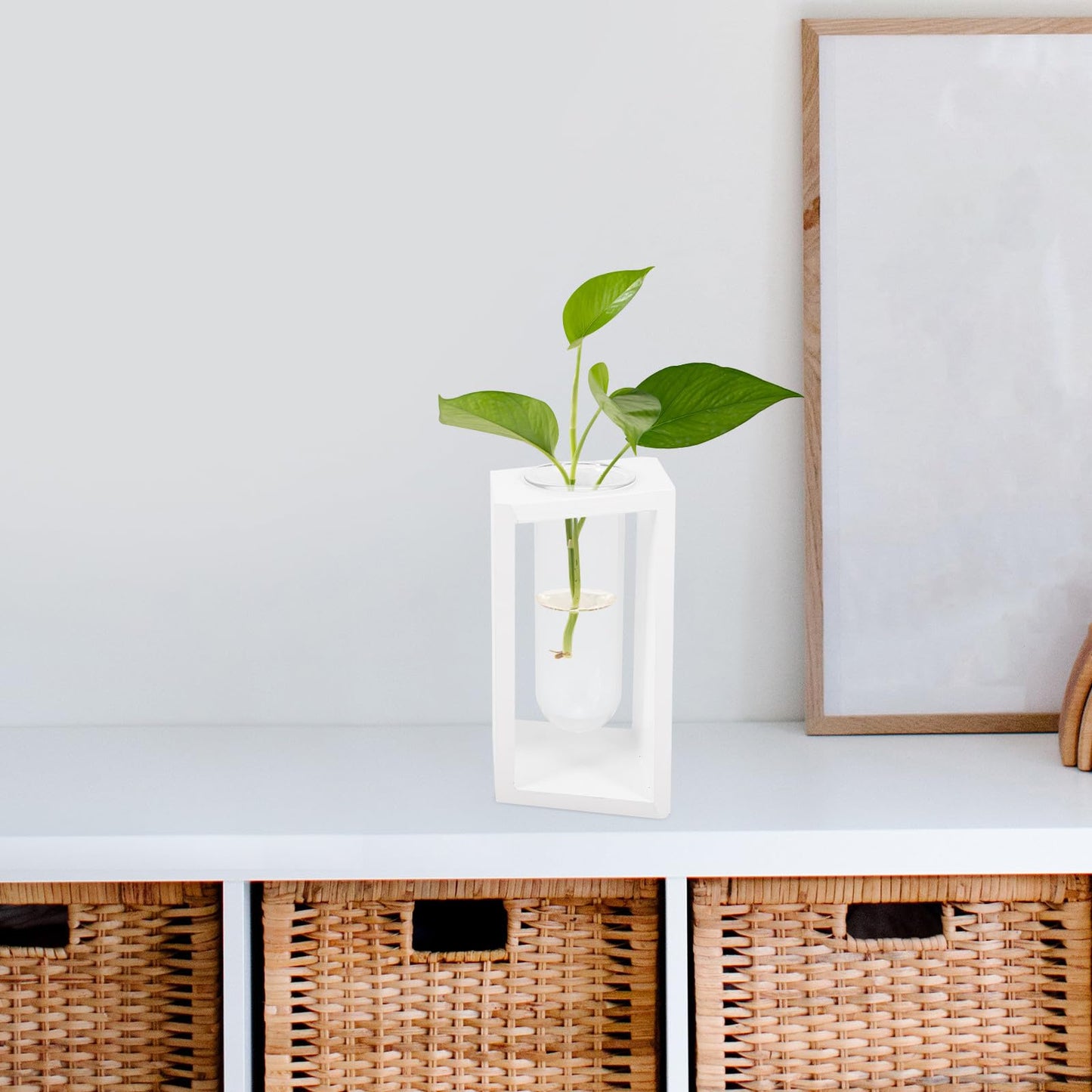 YARNOW Test Tube Plant Vase with White Wood Rack, Glass Hydroponic Propagation Tubes for Indoor Water Culture, Small Terrarium Holder for Home and Office Décor