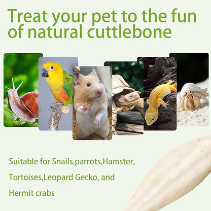 3.5"-4" Cuttlebone for Birds,Parakeets Cuddle Bone Beak Trimming,Premium Calcium Natural Cuttlefish Bone for Parrot,Cockatiel,Budgie,Tortoise, Snails,Reptiles,12 Pcs