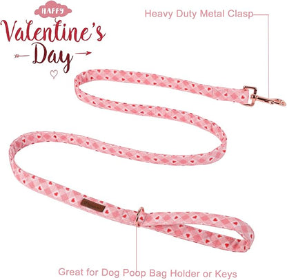 Valentine Dog Collar & Leash Set, Plaid Heart Wedding Design, Sturdy Cotton for Small to Large Dogs