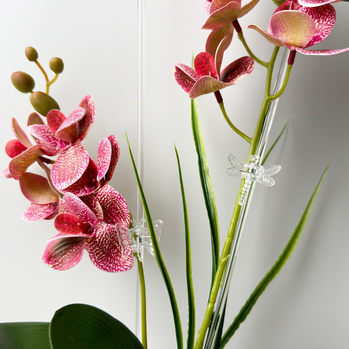 30Pcs Acrylic Plant Stakes Garden Single Stem Plant Support Stakes Clear Orchid Stakes and 30Pcs Clips Plant Support Sticks Clear Dragonfly Orchid Clip for Indoor and Outdoor Plants, Flowers, Tomatoes