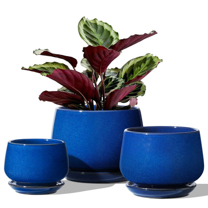 LE TAUCI Plant Pots, 4.1+5.1+6.5 inch, Set of 3, Ceramic Planters with Drainage Hole and Saucer, Indoor Flower Pot with Hole Mesh Pad, Gifts for Mom, Sapphire Blue