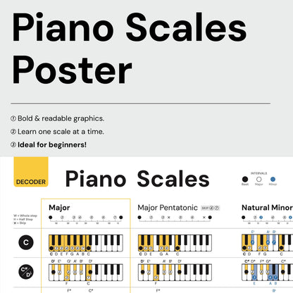 Noisy Clan Piano poster Bundle : Scales, Keys, Chords and Circle of Fifths Tool! Back to School Music Learning Tool - Posters 25" x 24" canvas packaged folded. Make music theory easy and play more