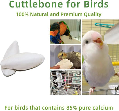 4.3"-4.7" Cuttlebone for Birds,Parakeets Cuddle Bone Beak Trimming,Premium Calcium Natural Cuttlefish Bone for Parrot,Cockatiel,Budgie,Tortoise, Snails,Reptiles,12 Pcs