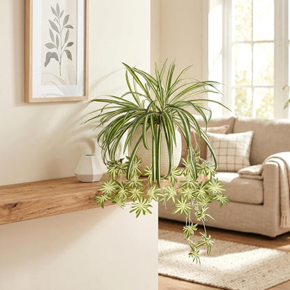 Zelphvt 2 Packs Artificial Spider Plant, 24 Inch Fake Hanging Greenery Plant UV Resistant Faux Chlorophytum Comosum Silk Spider Plants for Indoor Outdoor Home Garden Office Decor (Pot Not Included)
