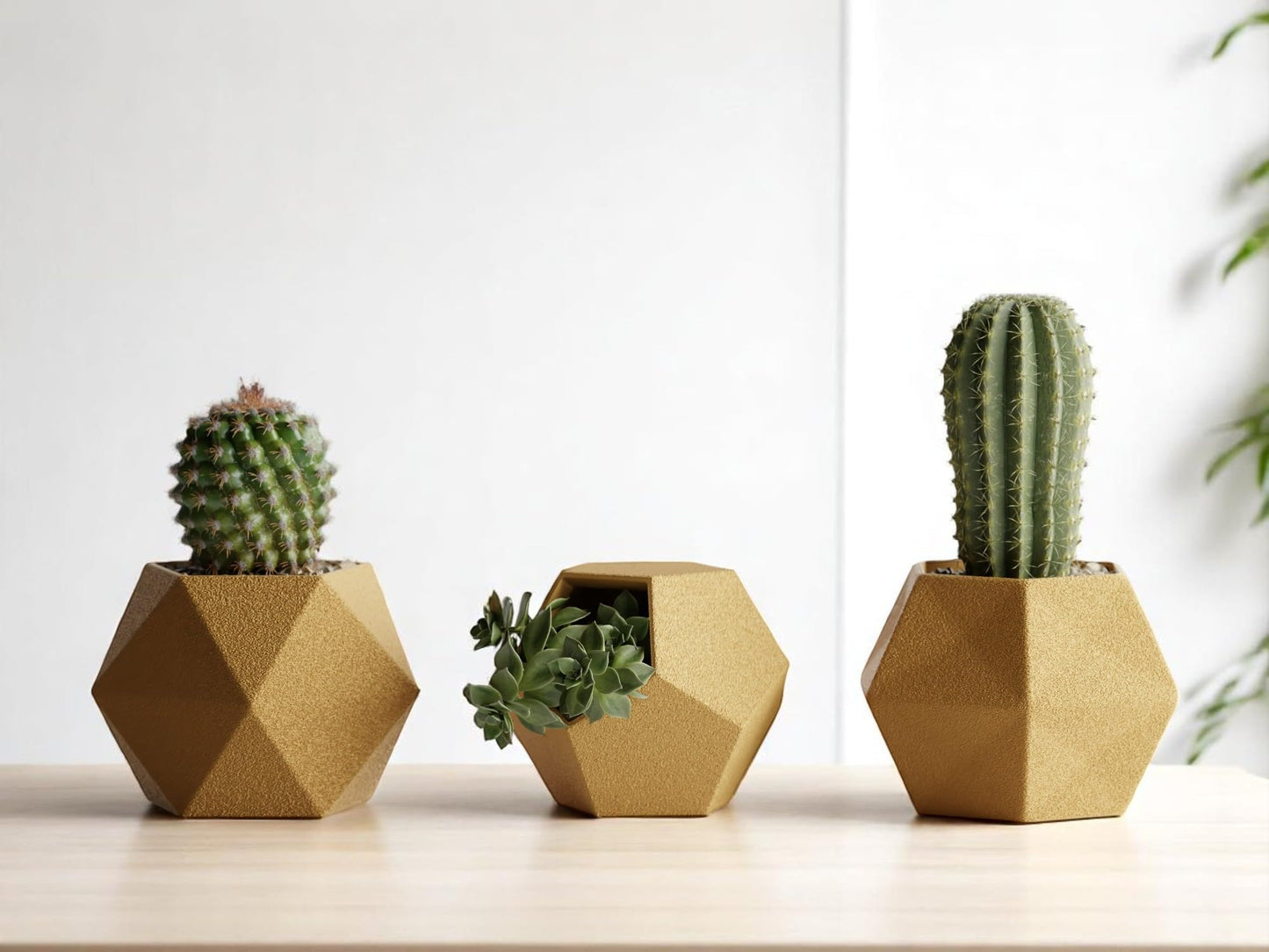 Gallery of Drip 【GeoTrio Modern Geometric Planters】– 3-Piece Faceted Pot Set for Succulents, Cactus, and Indoor Plants – Minimalist Desk Decor, Stylish Gift for Plant Lovers (Gold)